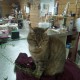 TROUVE CHATTE En France à Hillion (22120)56074