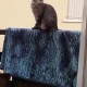 PERDU CHATTE  à 56294