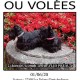 PERDU CHIENNE En France à Les Préaux (27500)56376